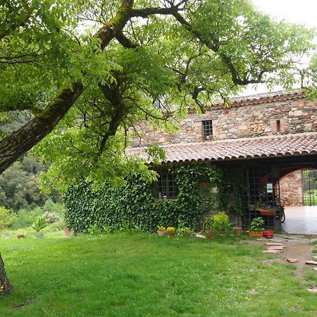 Bed And Breakfast Casanova De Sant Miquel Aiguafreda Luaran gambar