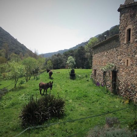 Bed And Breakfast Casanova De Sant Miquel Aiguafreda Luaran gambar