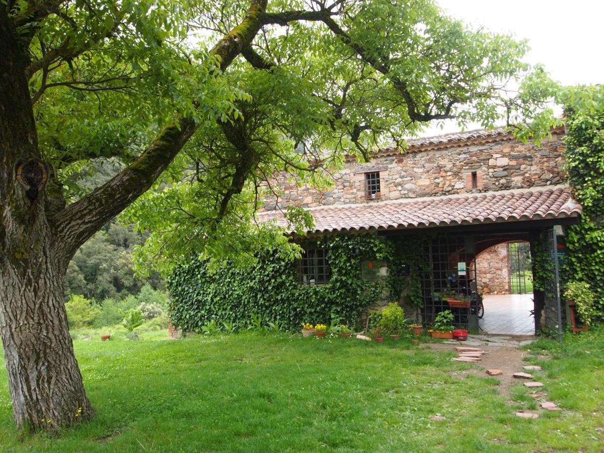 Bed And Breakfast Casanova De Sant Miquel Aiguafreda Luaran gambar