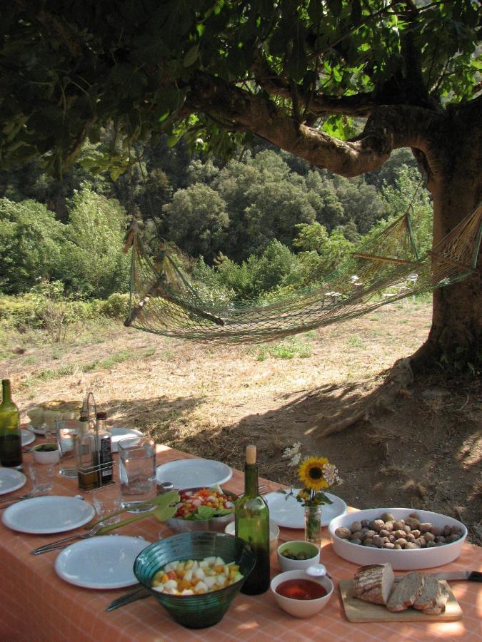 Bed And Breakfast Casanova De Sant Miquel Aiguafreda Luaran gambar