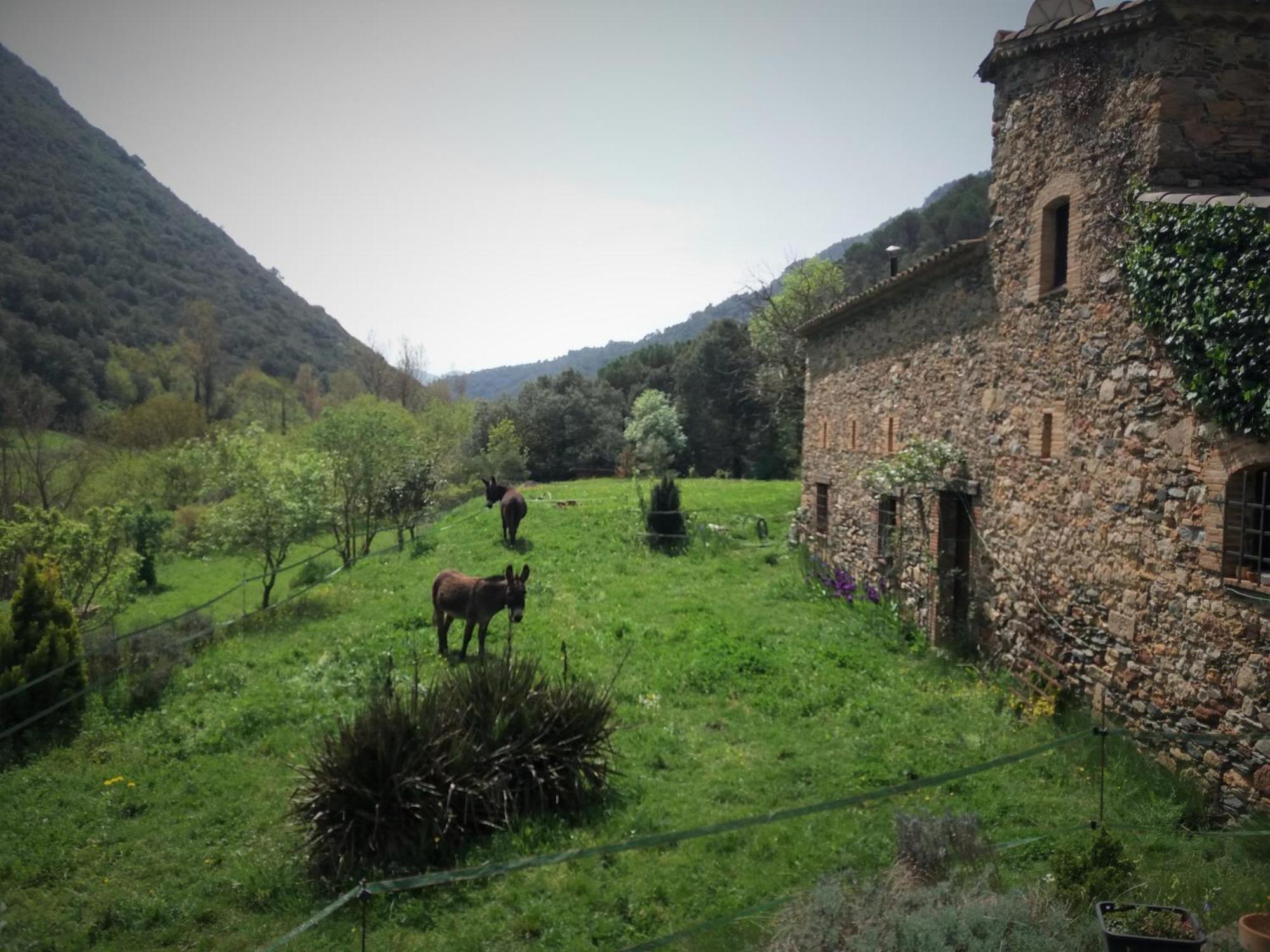 Bed And Breakfast Casanova De Sant Miquel Aiguafreda Luaran gambar